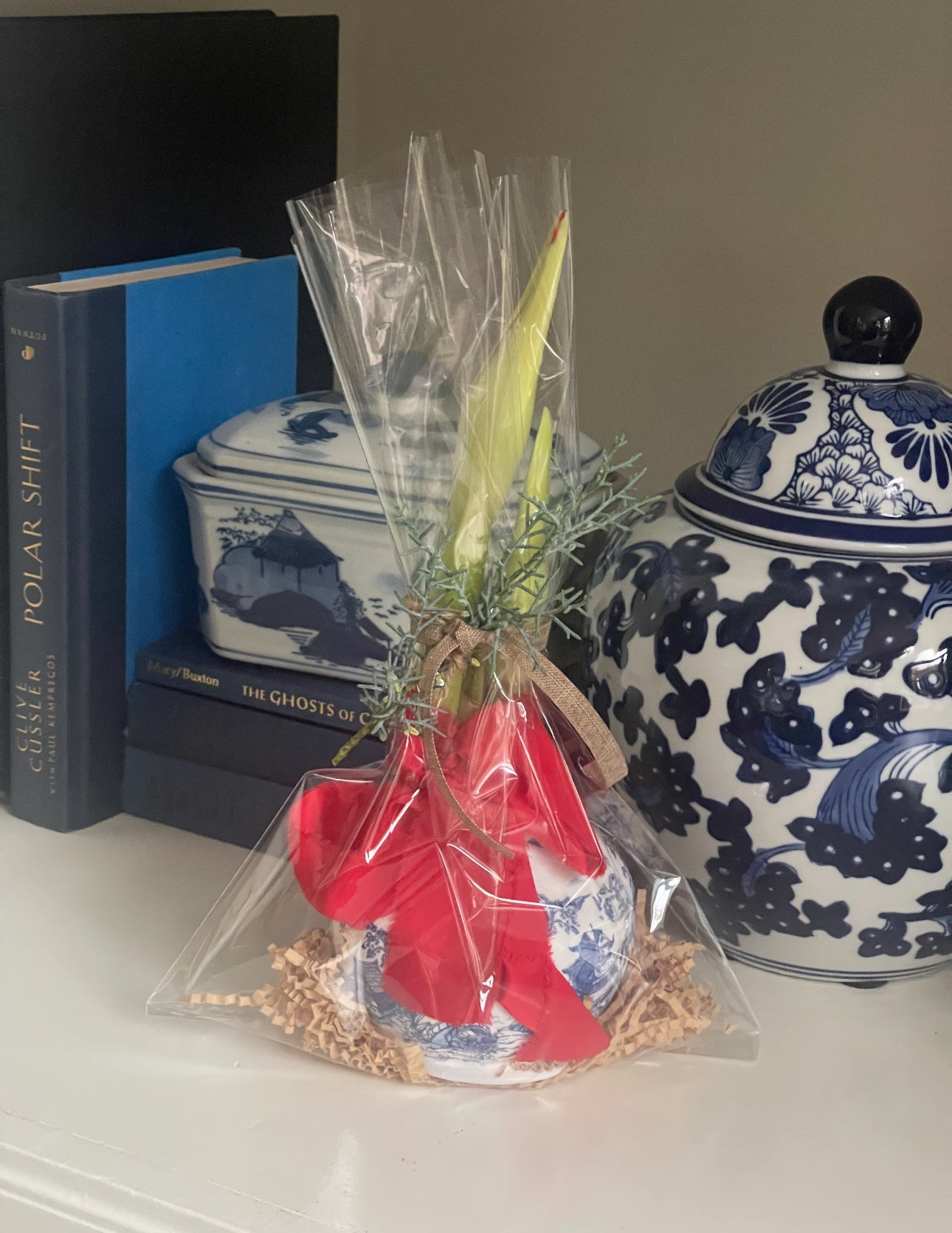 Decorated Wax Amaryllis Bulb | Island Bloom