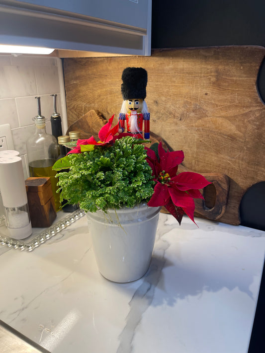 Tall White Pot w/ Fern, Poinsettias & Nutcracker