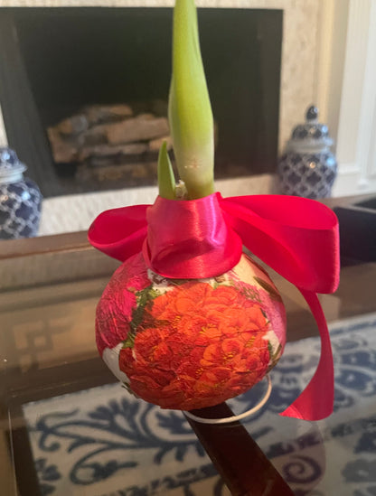 Decorated Wax Amaryllis Bulb | Island Bloom