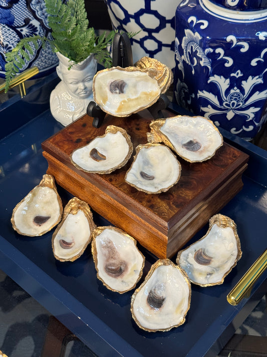 Perfectly Imperfect | Grande Oyster Display Shell