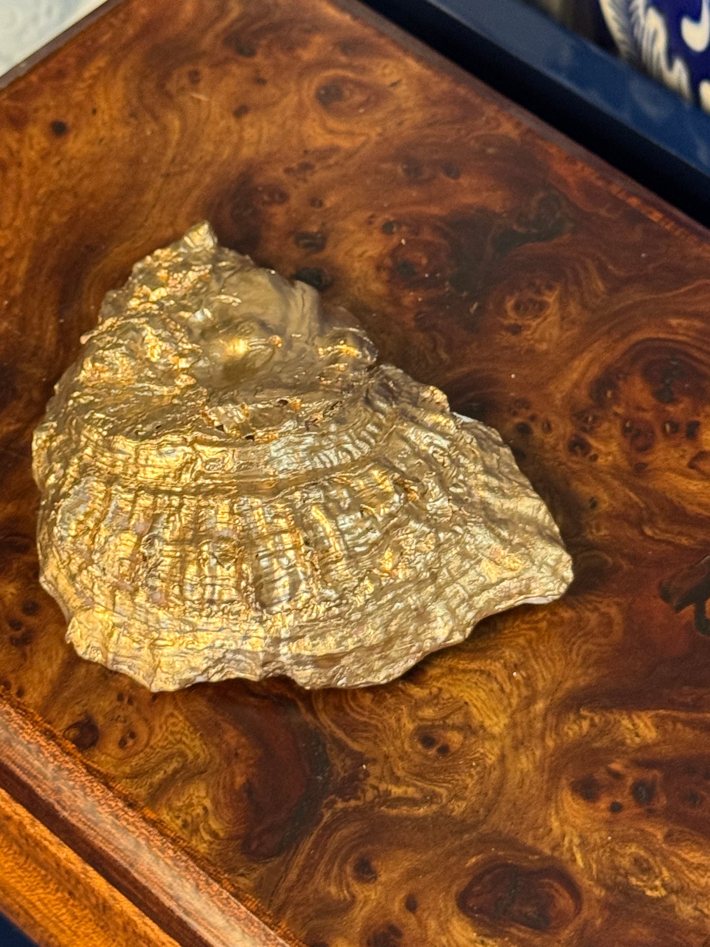 Pink & White Hummingbird Toile | Petite Oyster Display Shell