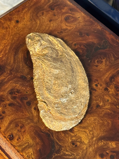 Pink Topiary | Petite Oyster Display Shell
