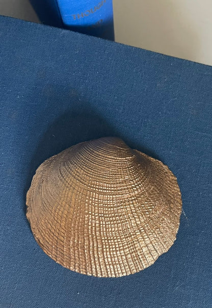 Large Lemons | Petite Clam Shell Trinket Dish
